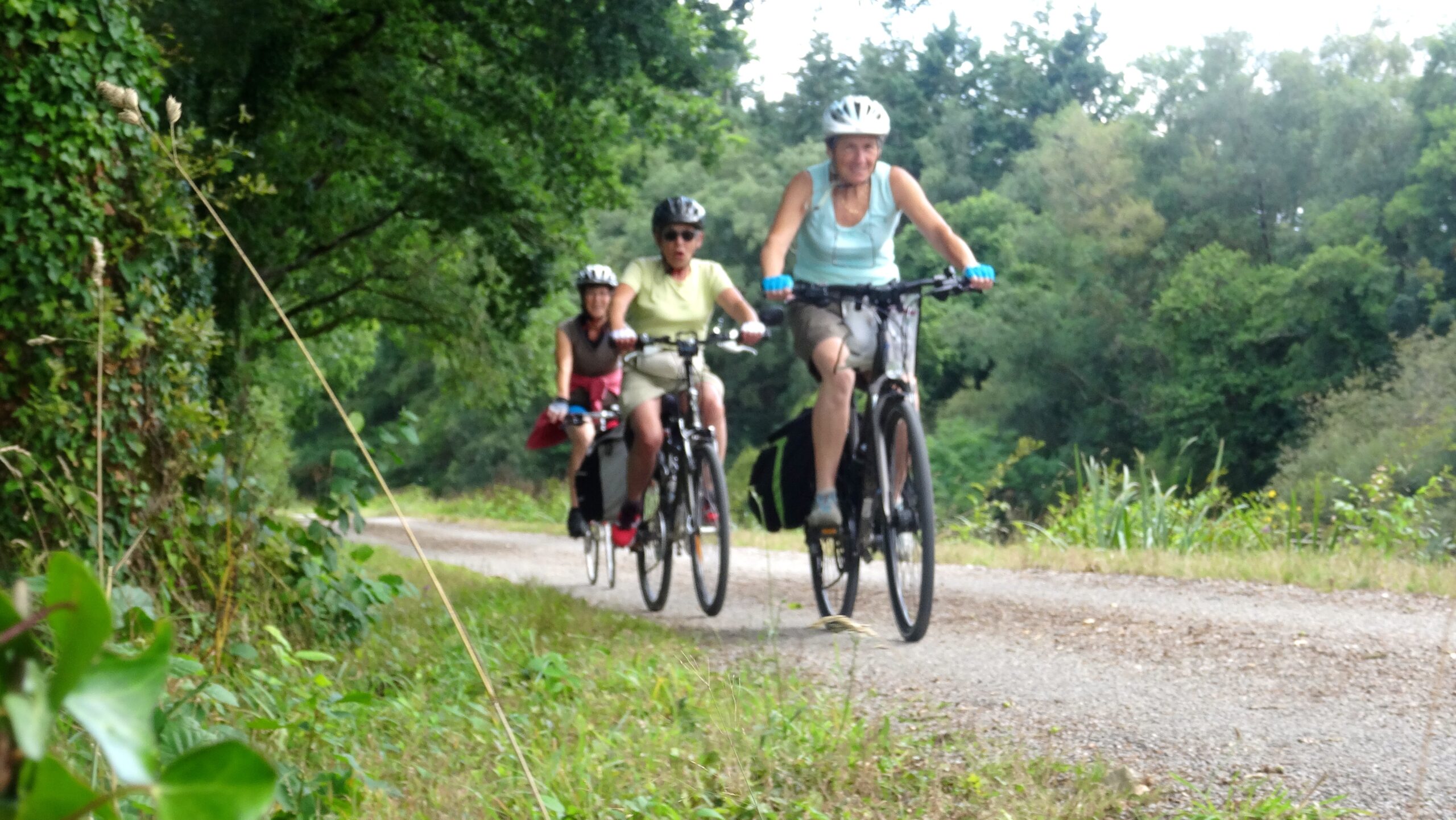 Les rendez-vous du mardi